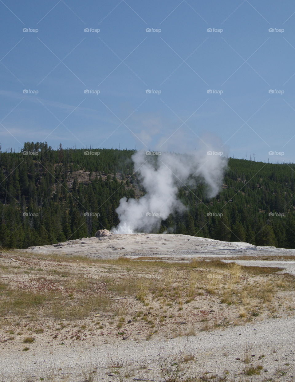 Beautiful, unique, and stunning geology on Geyser Hill in the magnificent Yellowstone National Park on a sunny summer day. 