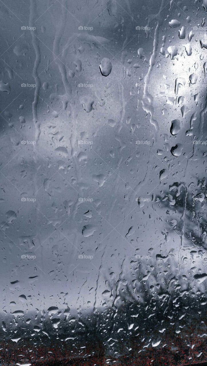 Wet, Rain, Drop, Droplet, Bubble