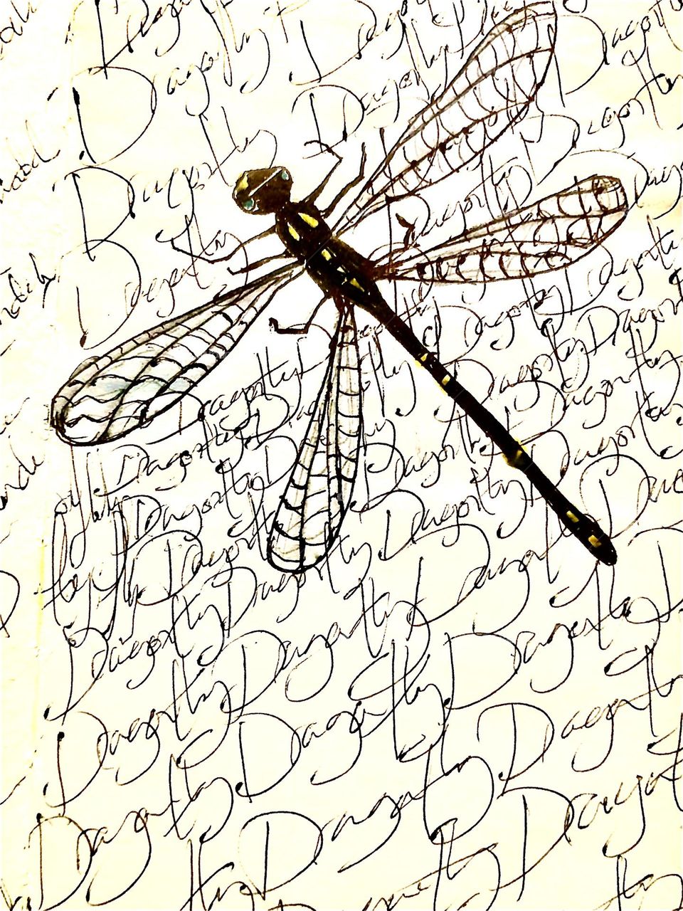 Dragonfly