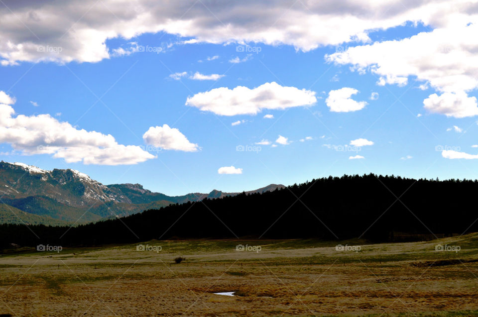 Black hills landscape