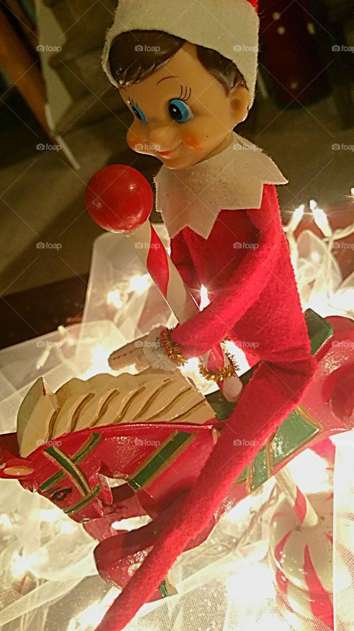 pony ride for Buddy the elf