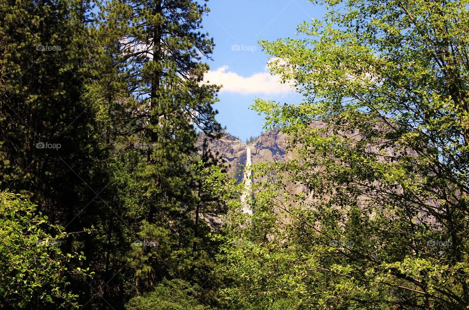 Hidden Yosemite 