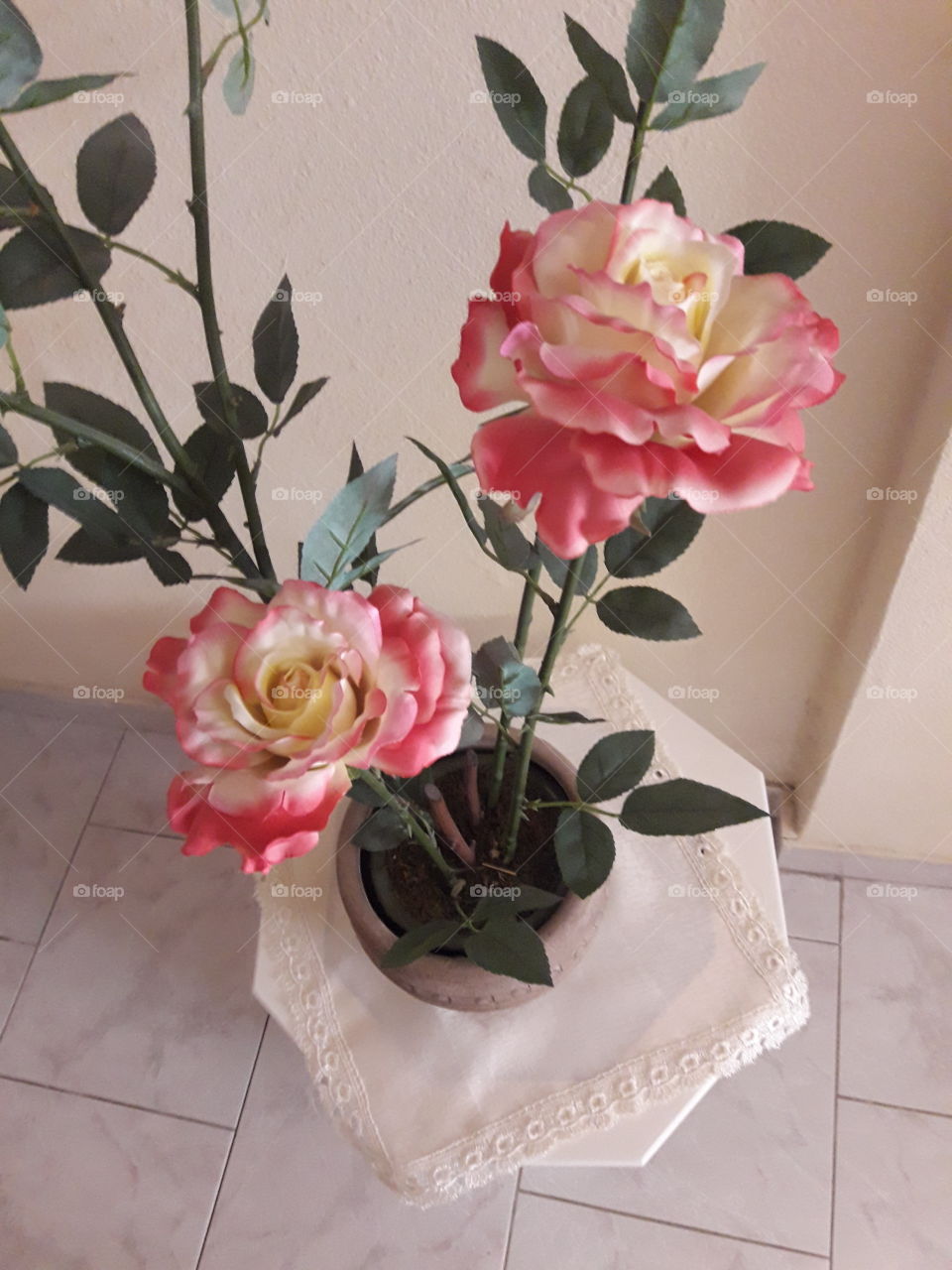 beutiful romantic rose pink yelow and white color