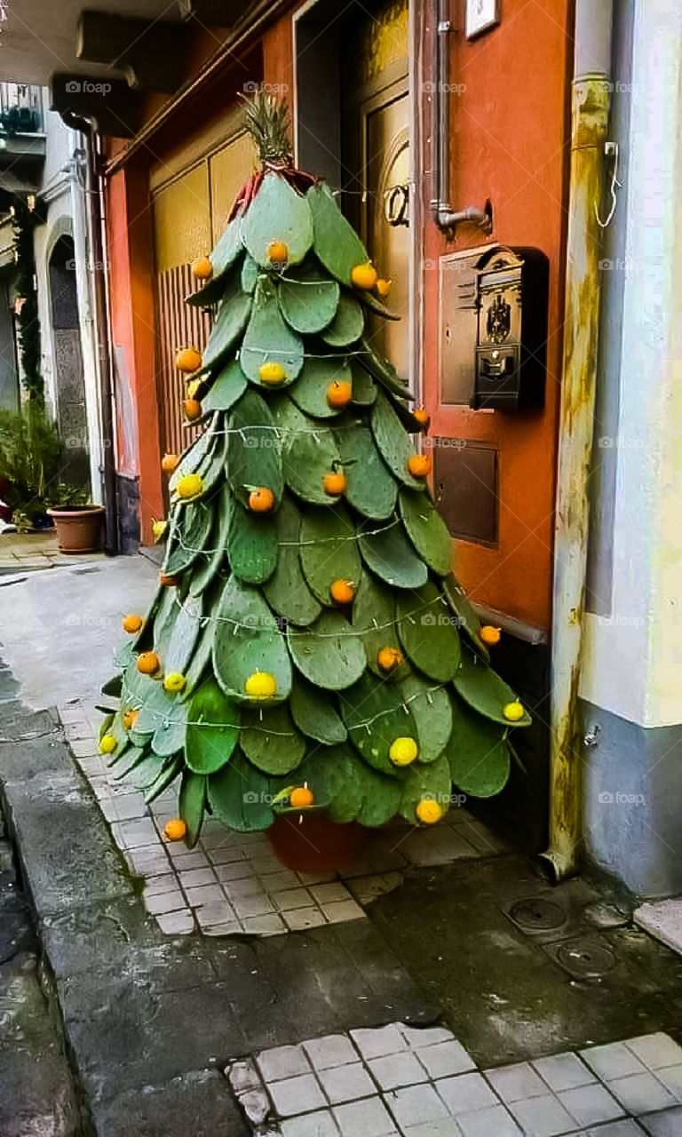 Albero di natale siculo