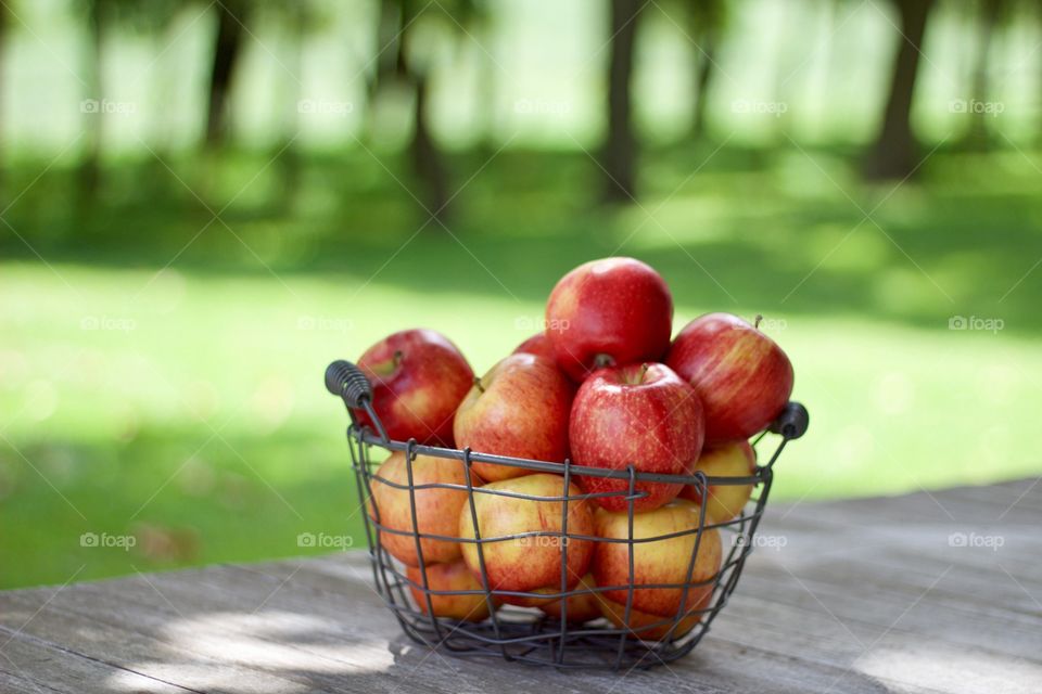 Fruits! - Apples in a wire basket on a weathered wooden surface against a background of blurred trees