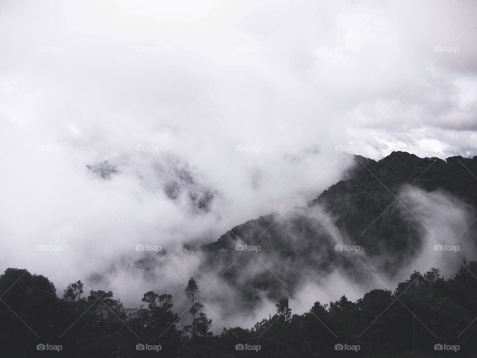 Foggy Mountains