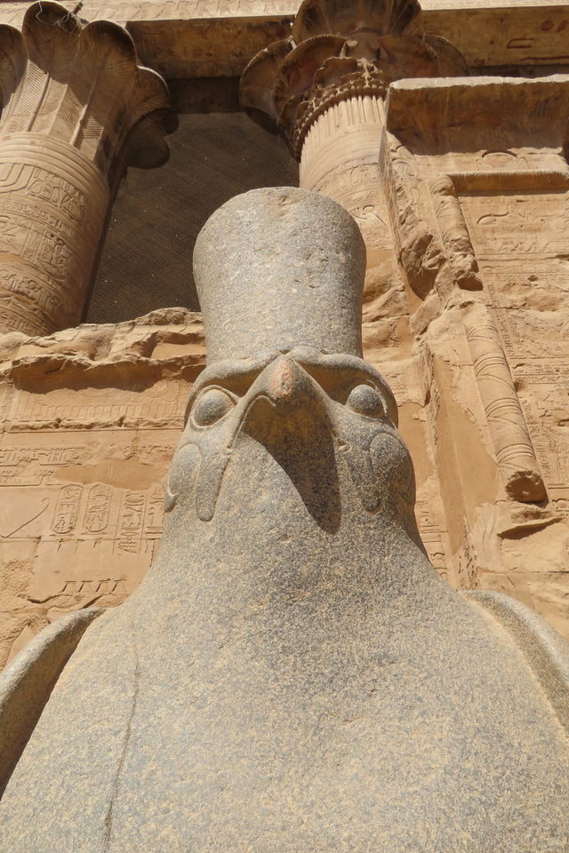 Horus