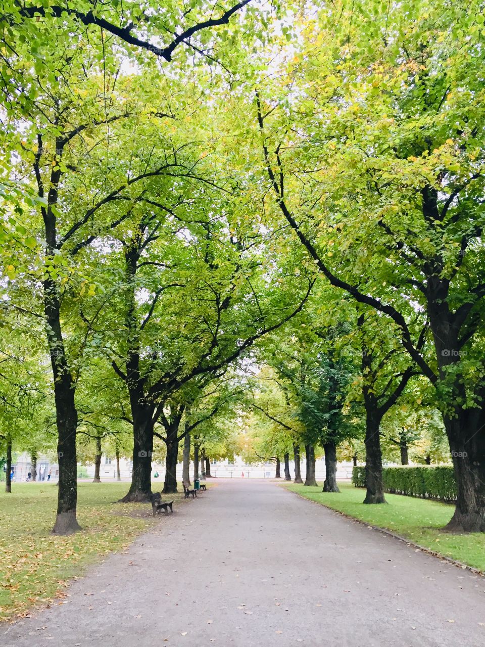 English garden Munich