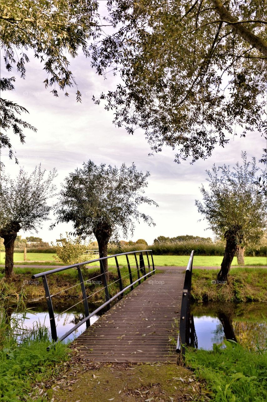 rural autumn landscape with bridge over a ditch,  green meadow, autumn leafs and trees