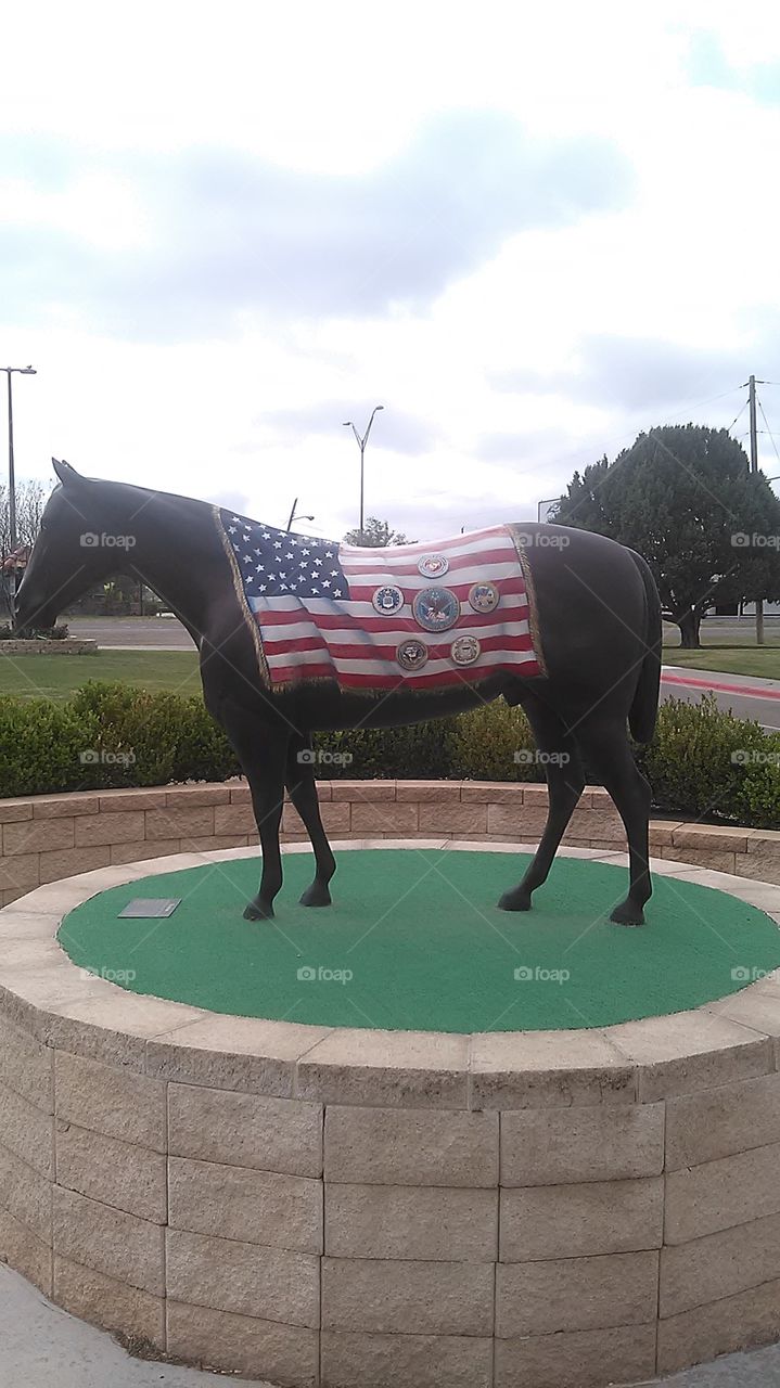 american horse. this is the statue in front of the veteran hospital in amarillo tx