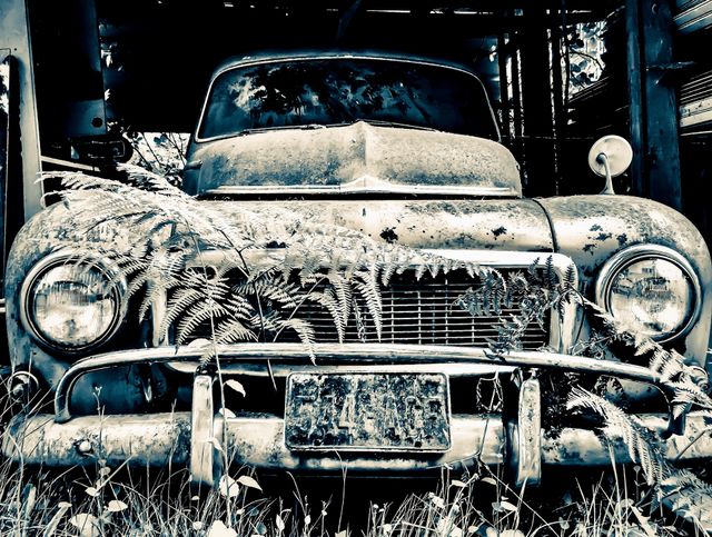 Forgotten Glory