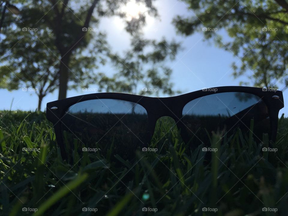 The sunglasses