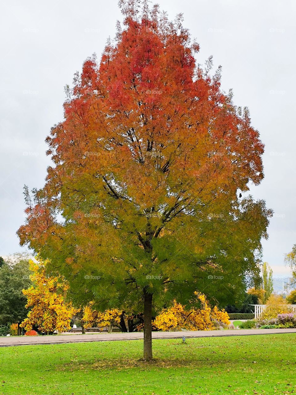 Fabulous autumn