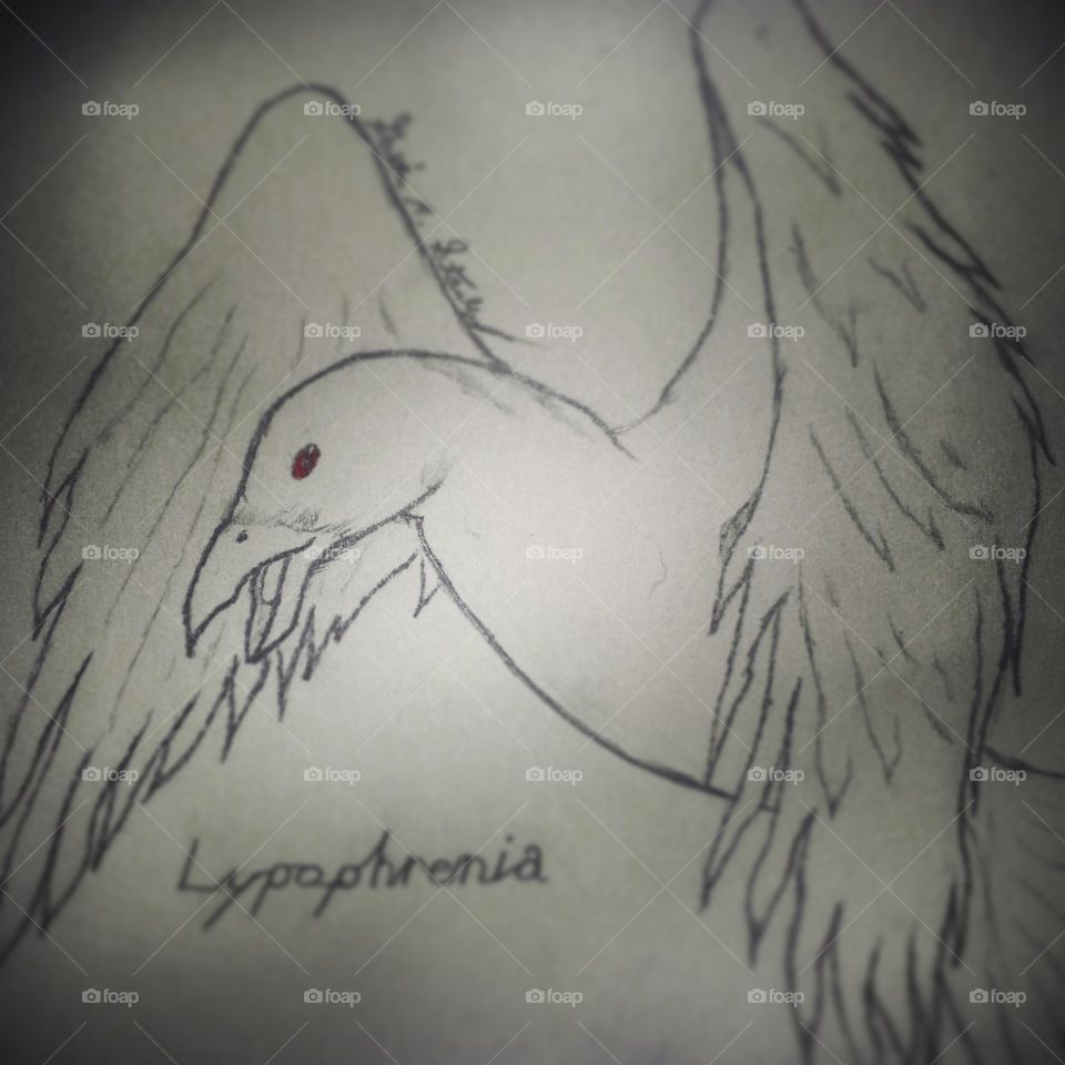 "Raven of Unknown Fear, Lypophrenia."
After learning the term Lypophrenia, an intense feeling of melancholy and sadness with no discernable origin nor reason, I had the inspiration to use that as the name of a music project and this raven as an associated symbol. It didn't follow through, but, still, this is here
