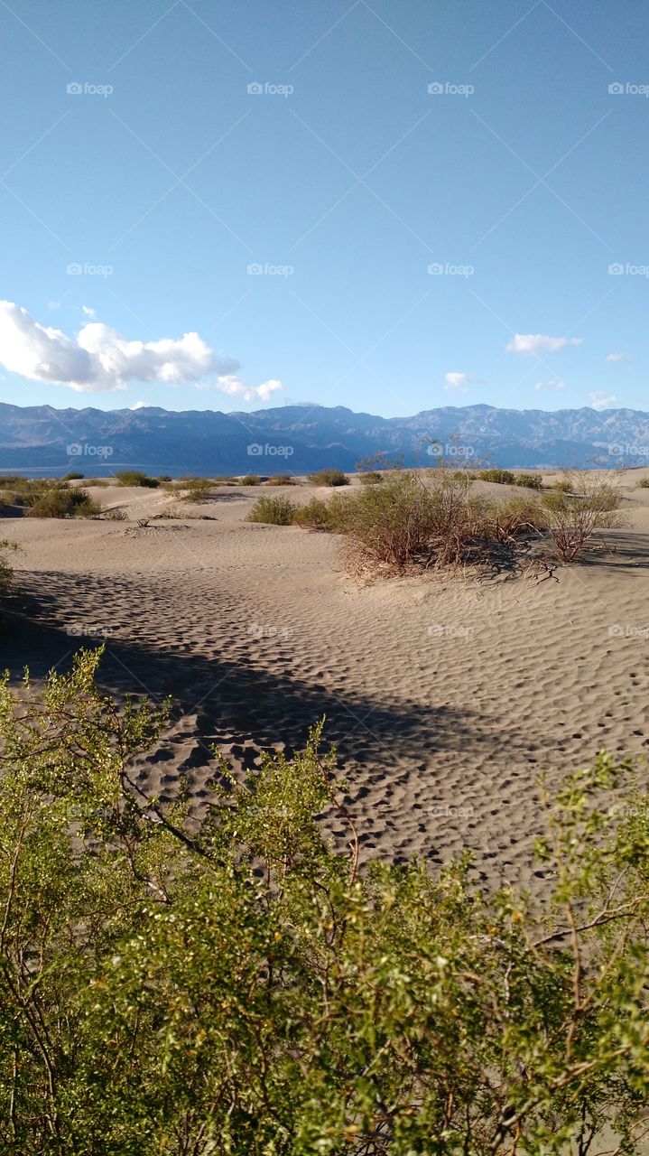 Death Valley Sand Dunes