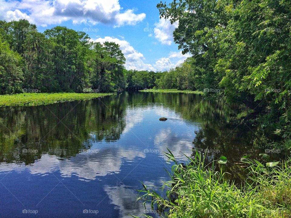 View of idyllic lake