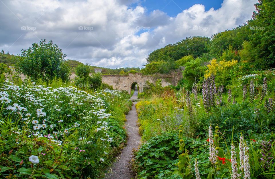 Blooming gardenscape 