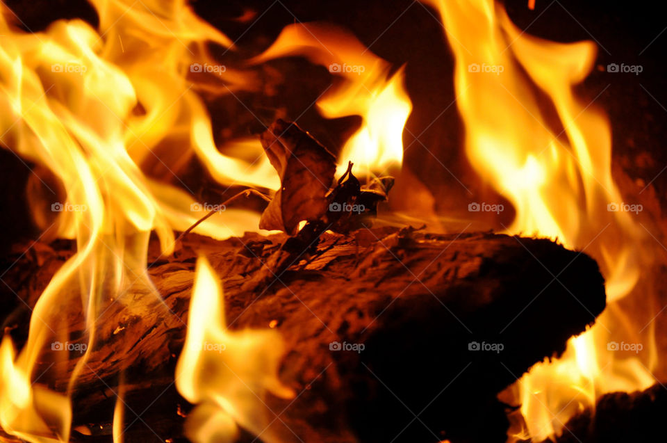 yellow wood orange fire by refocusphoto