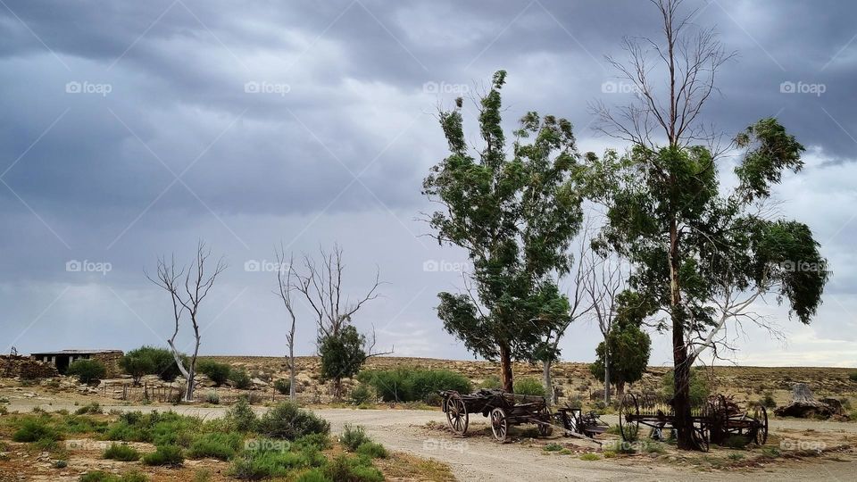 rain in the karoo. South Africa