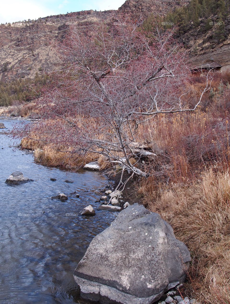 A large boulder on the banks of the Crooked River in a canyon in Central Oregon. 