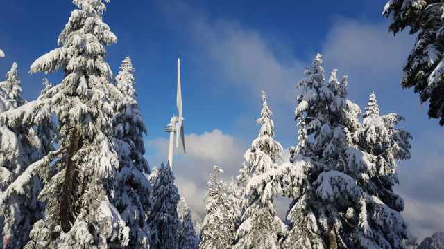 Wind turbine