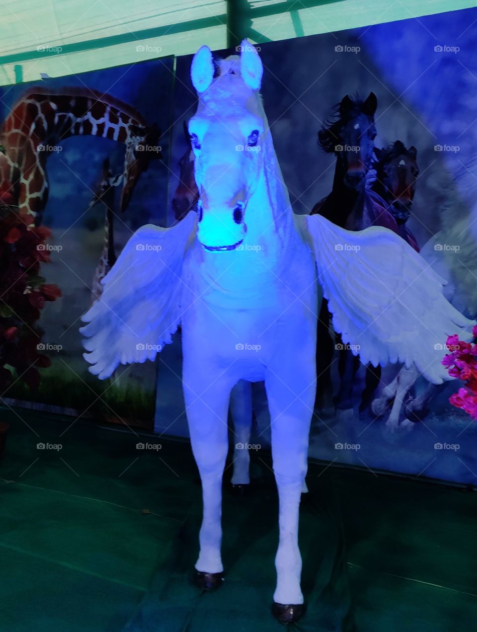 white pegasus in night light