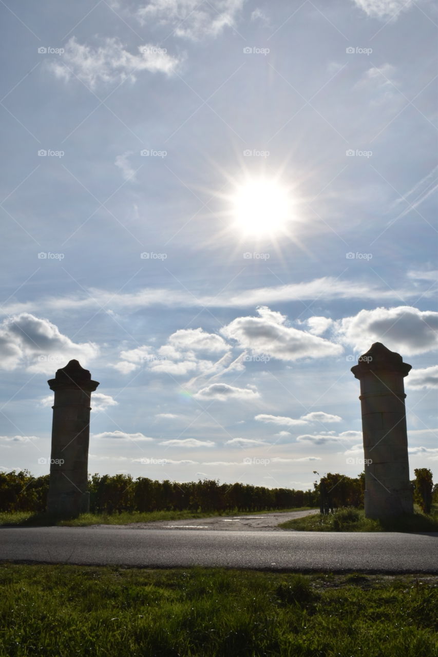 Pillars in front of thé vineyards 