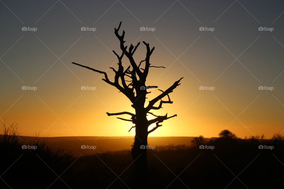 Exmoor sunset