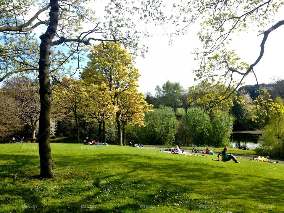 Irish Park. Park in Dublin, Ireland