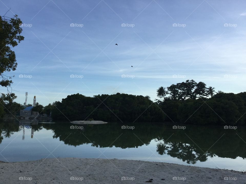 Reflection of mangrove on the beach shows the vegetation on the island like an art. 