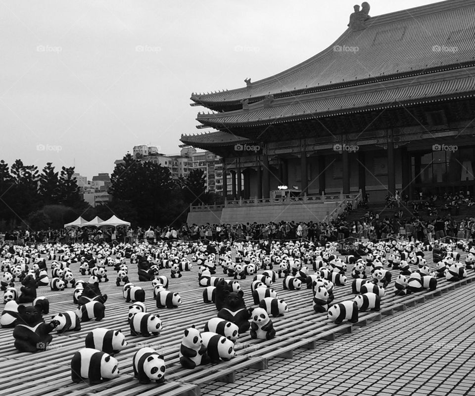 Panda exhibition in front of the building 