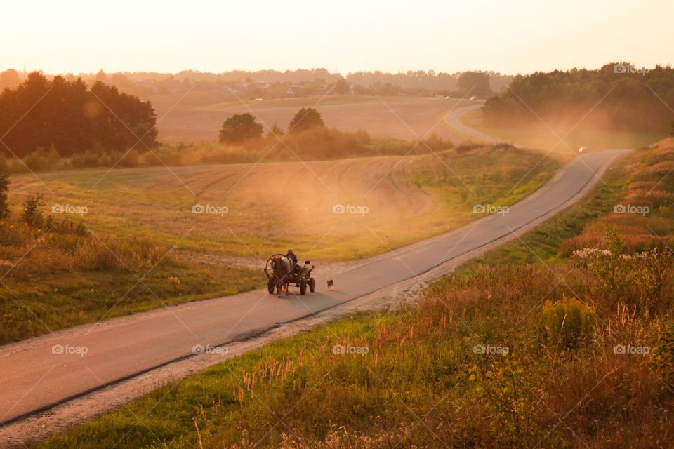 A peasant rides in a cart with a horse along a country road at sunset
