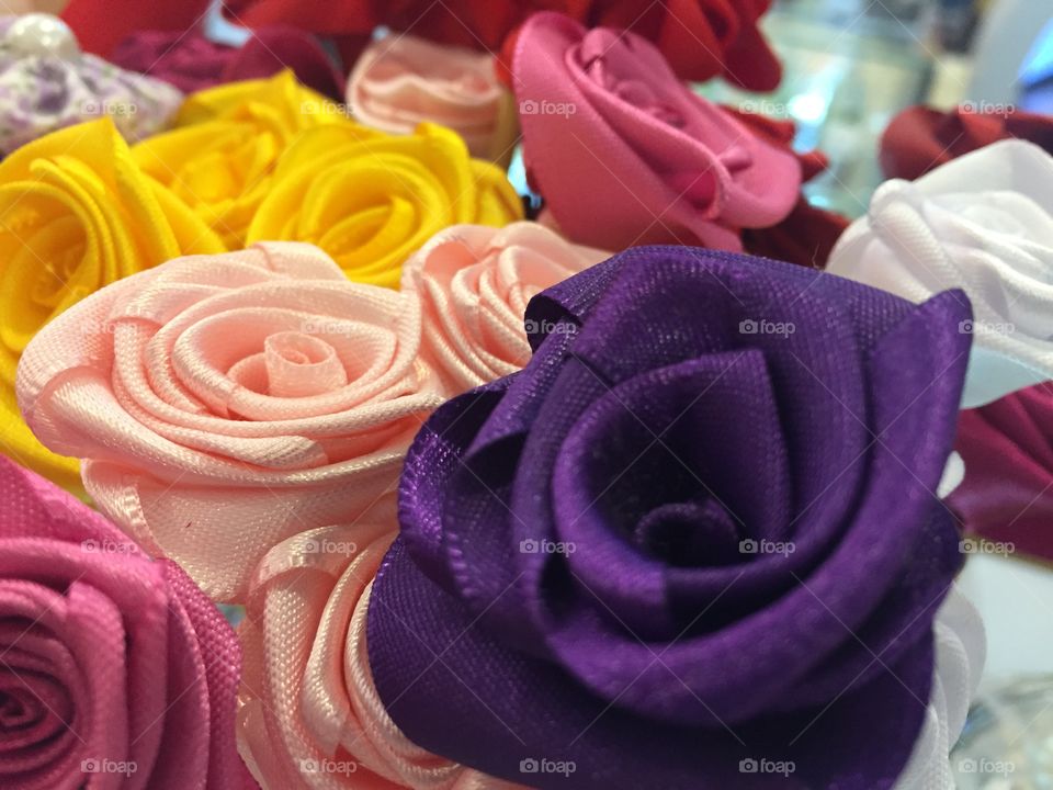 Roses of all colors