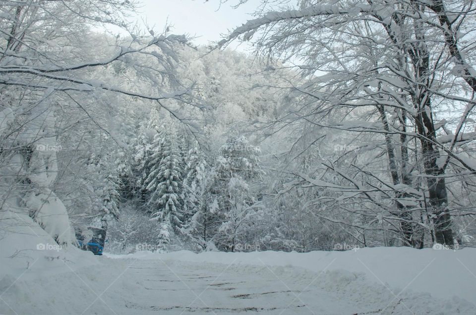 Vacation Series, Winter Road Trip, Bulgaria