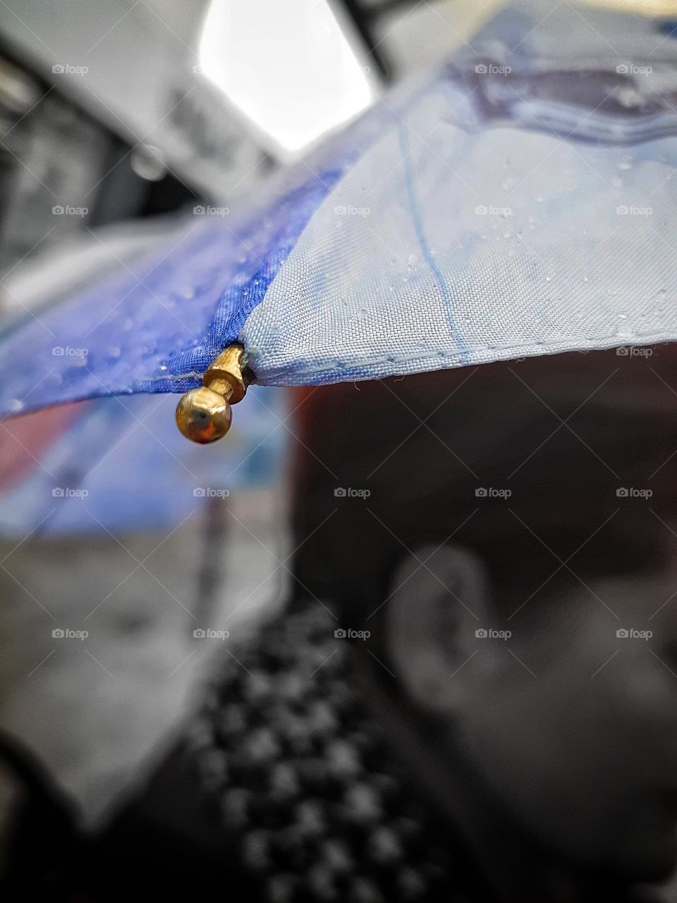 Rainy day in Bucharest.