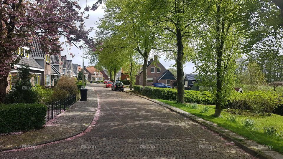 Nederlandse Streets