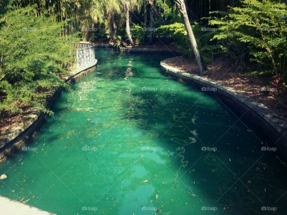 A River runs through. blue green river in Orlando Florida