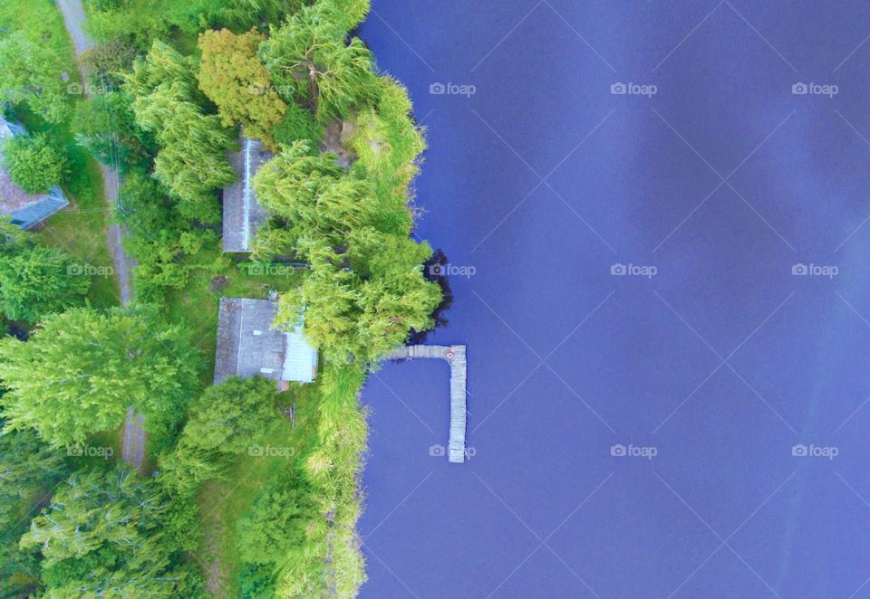 View from above. House, trees and boardwalk 