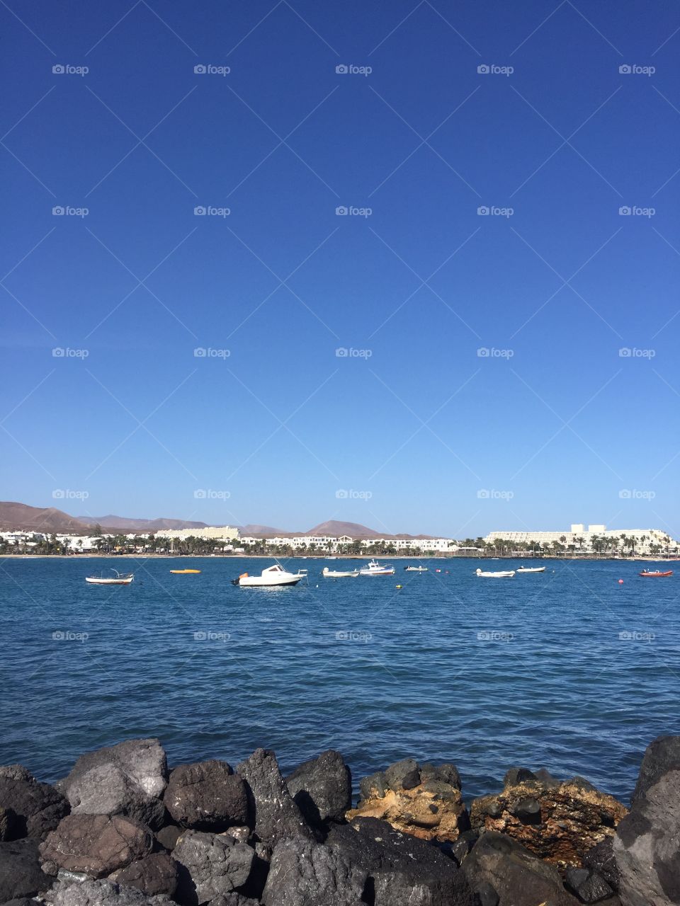 Bracos en el océano Atlántico 