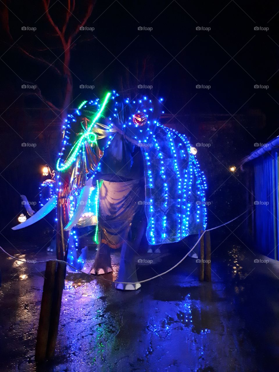 elephant decorated in christmas lights
