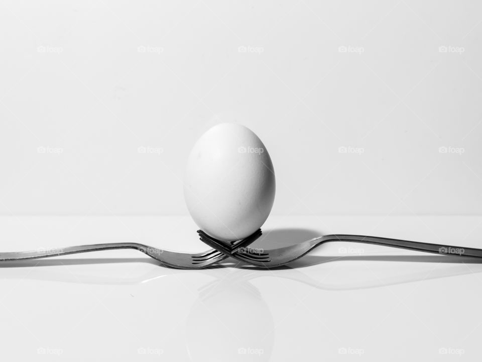 Story of an egg