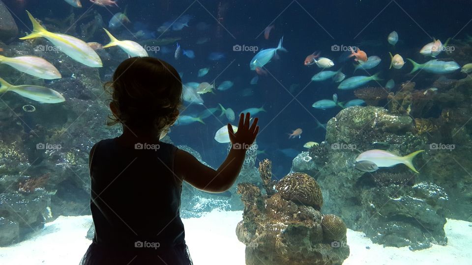 day at the aquarium