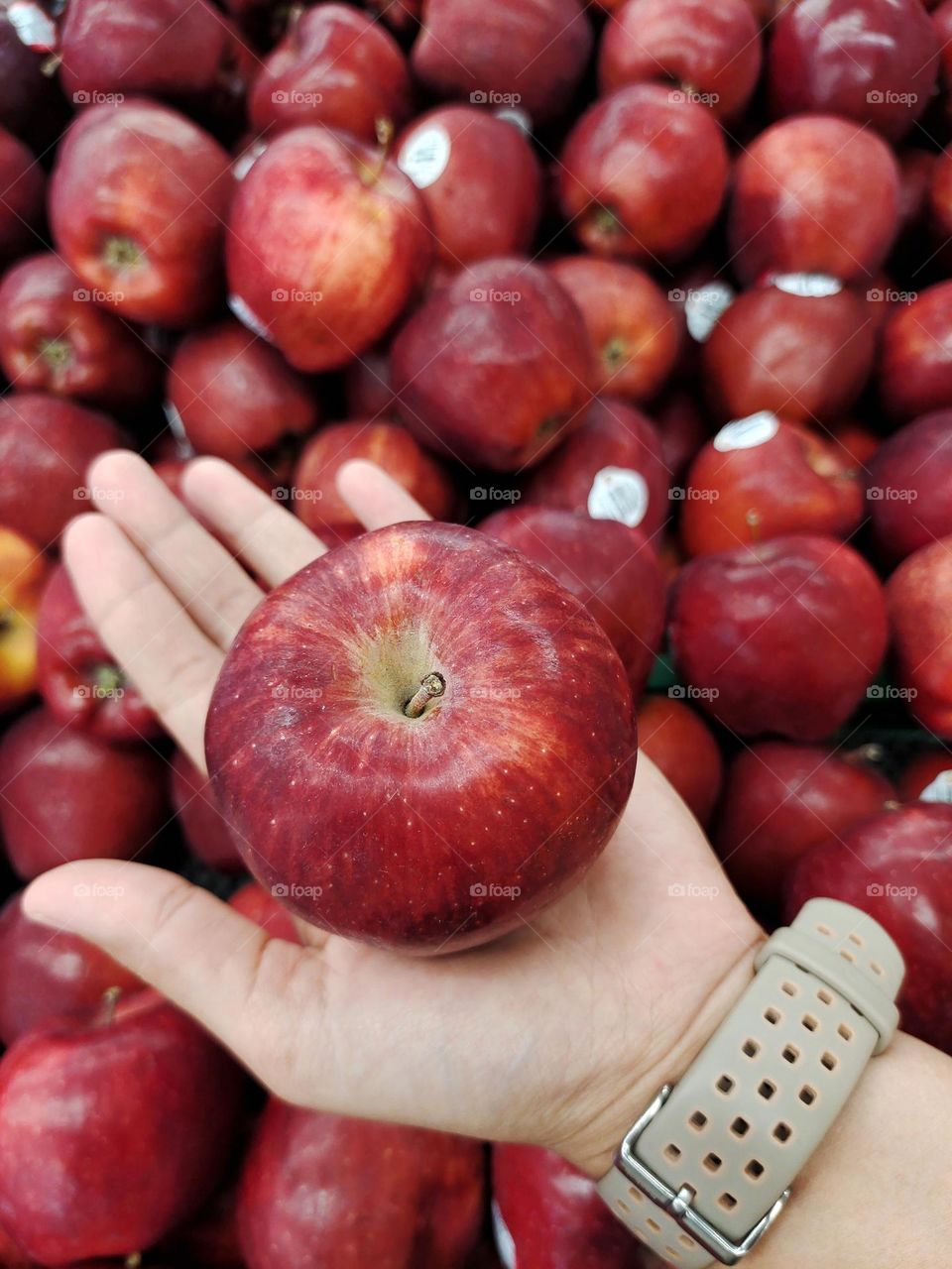 close up an apples in the market