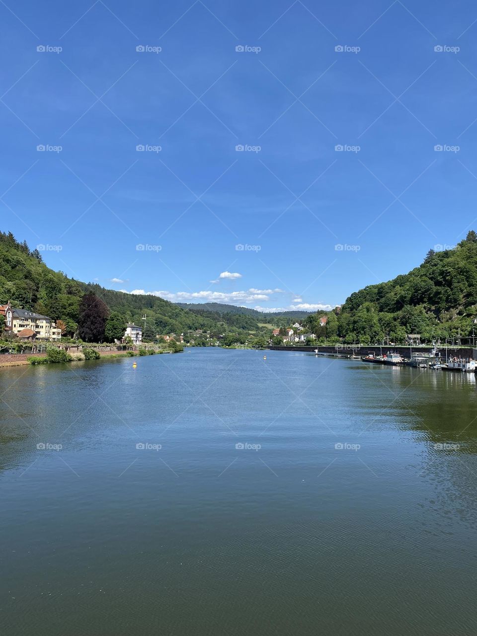 River in Heidelberg 