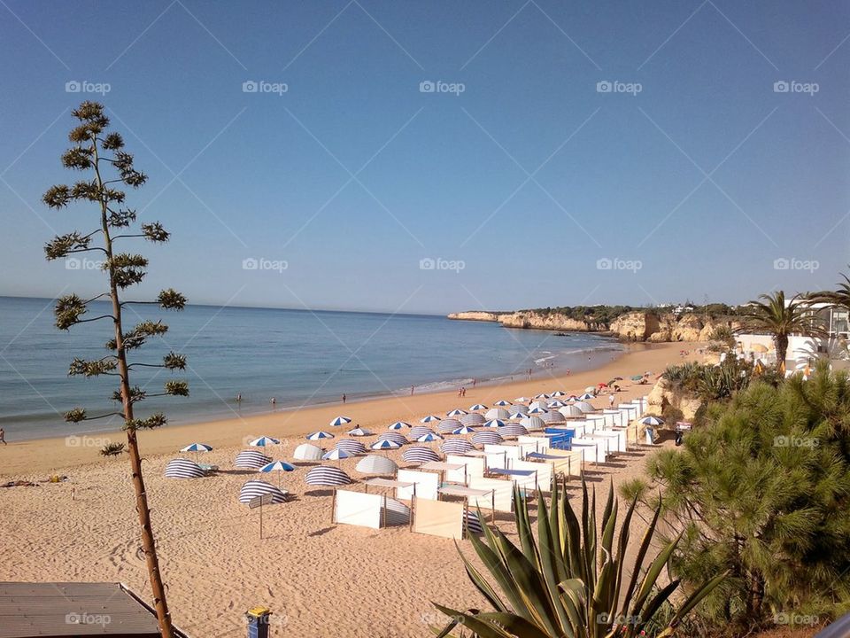 beach in Algarve