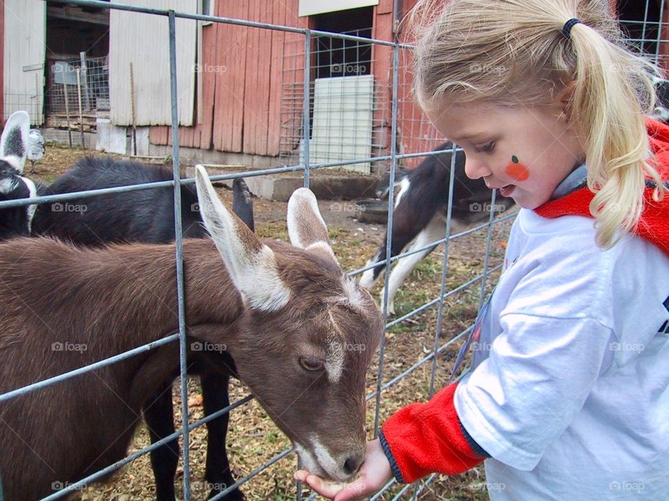 Visiting the Farm