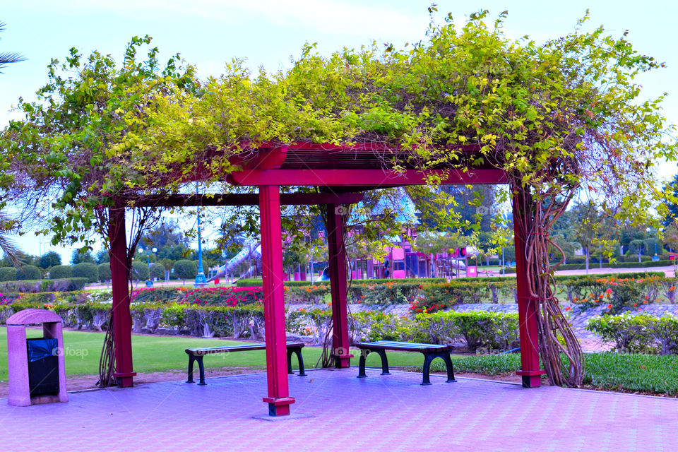 Small.Hut inside the park