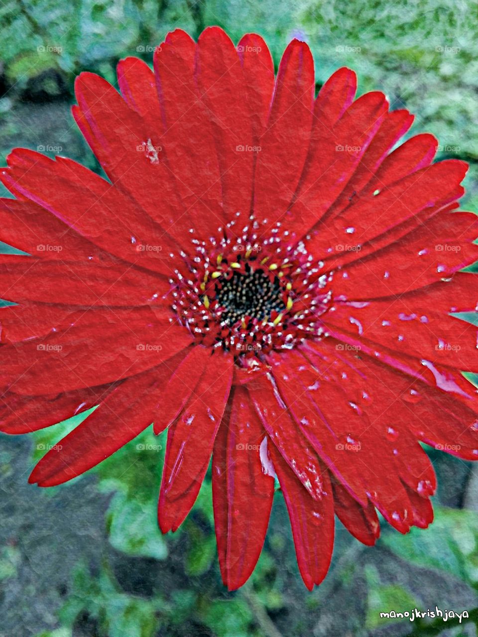 Naturalism vs artificiality