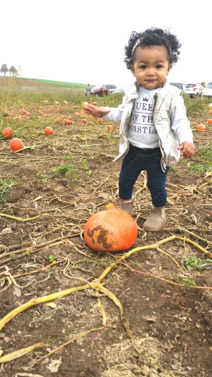 Pumpkin Farm. Picking out her pumpkin