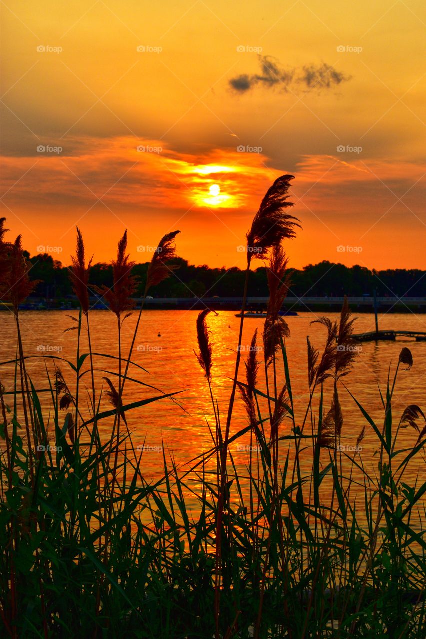 Lake sunsets 